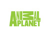 Animal Planet